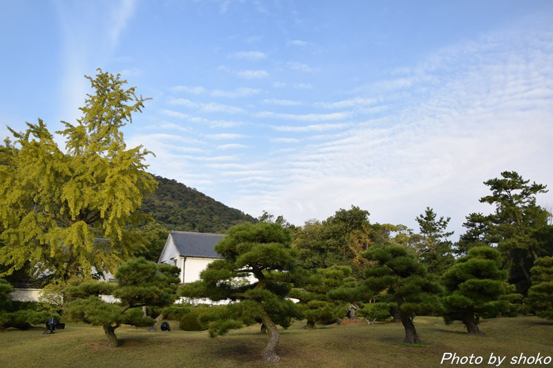 s-DSC_0687.jpg