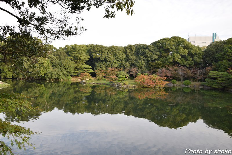 s-DSC_0693.jpg