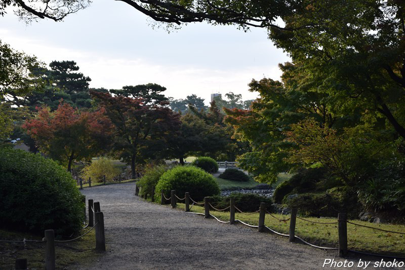 s-DSC_0706.jpg