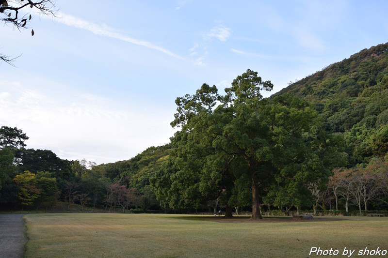 s-DSC_0703.jpg