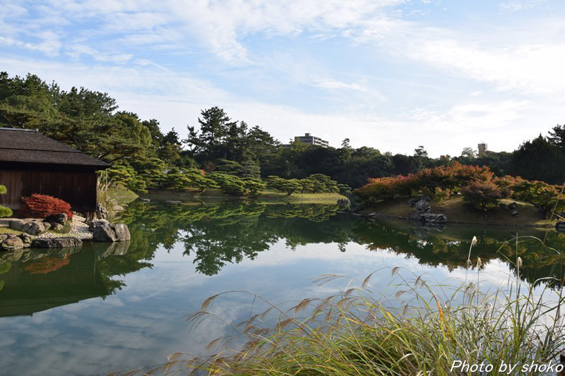 s-DSC_0731.jpg