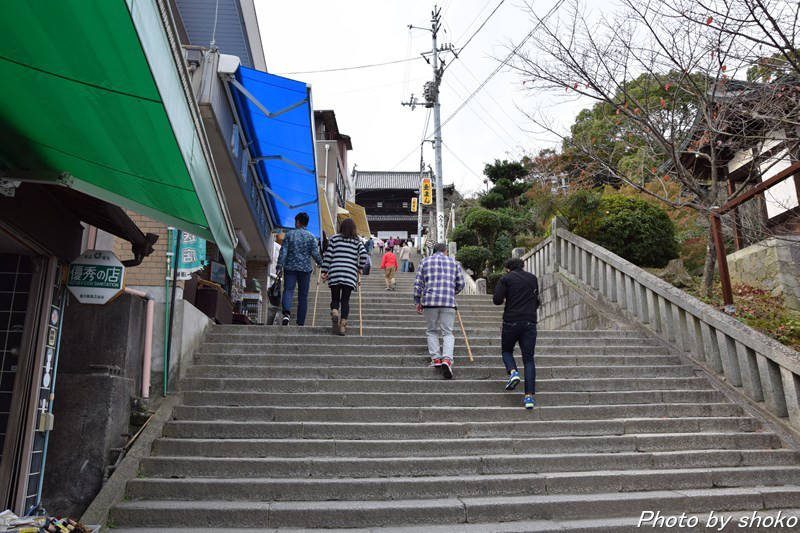 s-DSC_0766.jpg