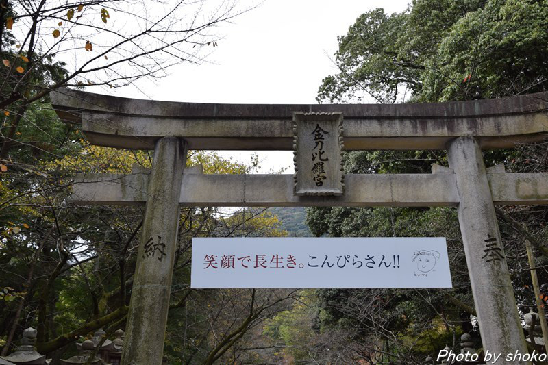 s-DSC_0772.jpg
