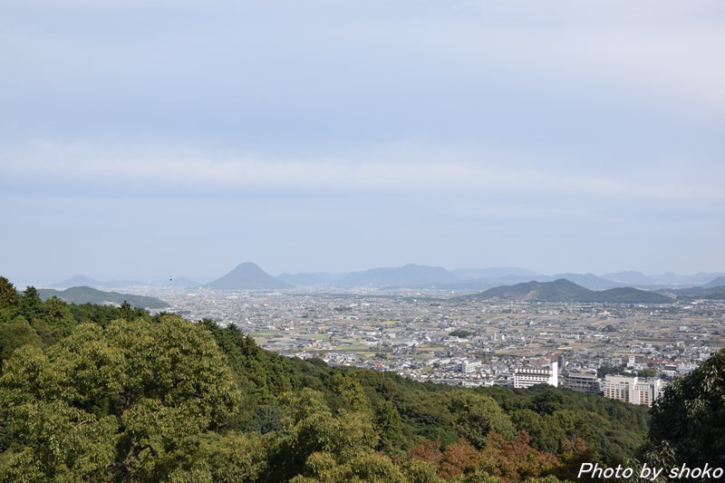 s-DSC_0790.jpg