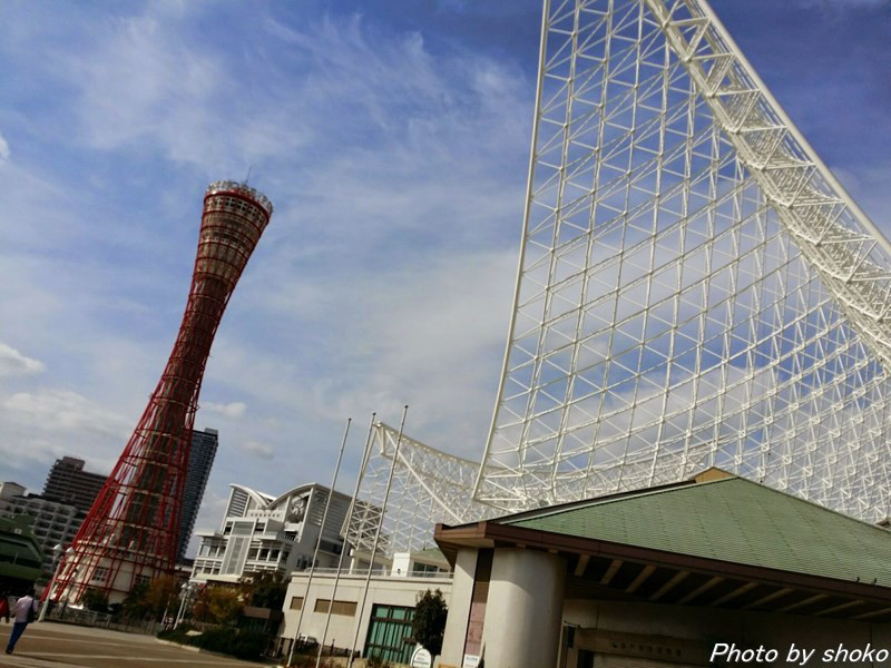 s-20141110_131055.jpg