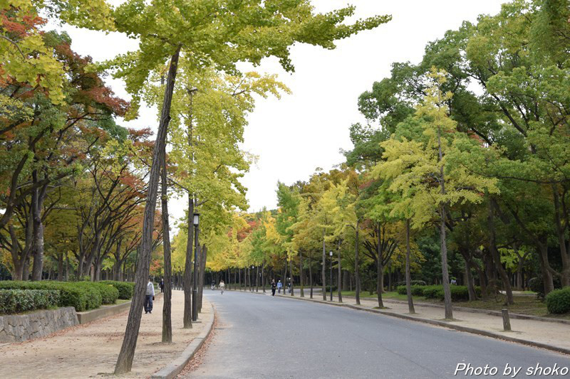 s-DSC_0981.jpg