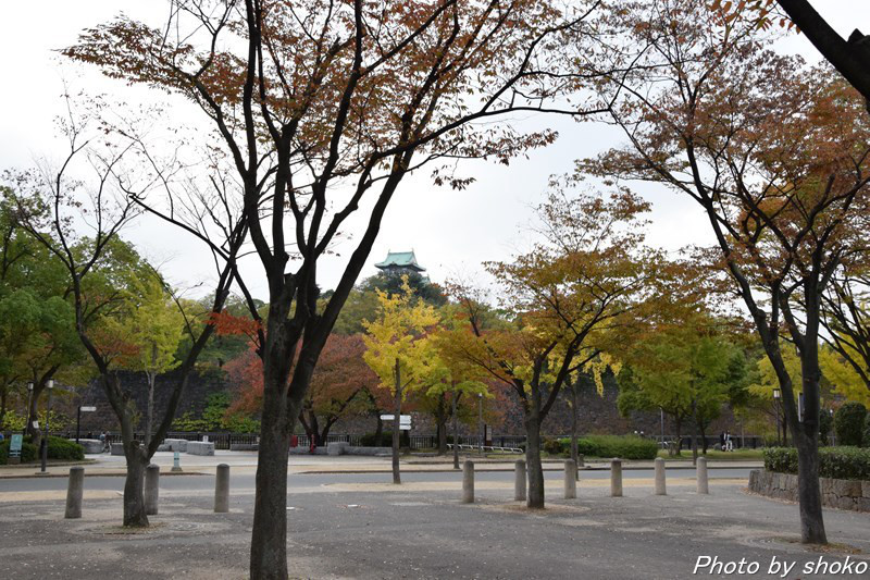 s-DSC_0978.jpg