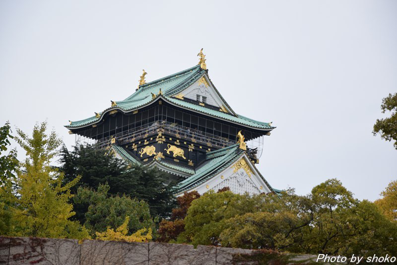 s-DSC_0989.jpg