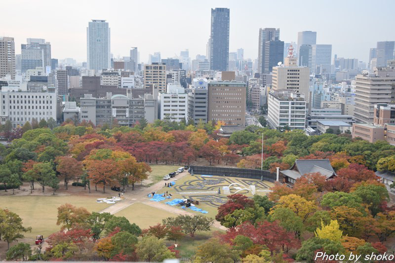 s-DSC_1012.jpg