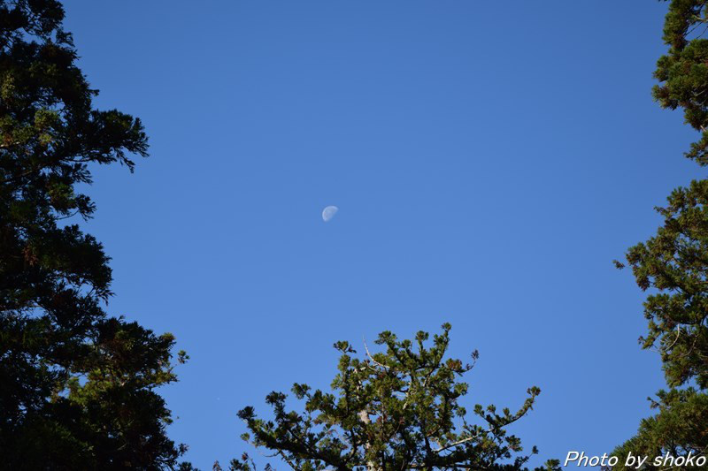 s-DSC_1181.jpg