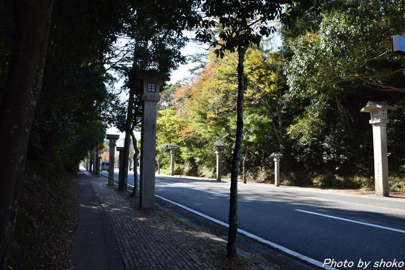 s-DSC_1199.jpg