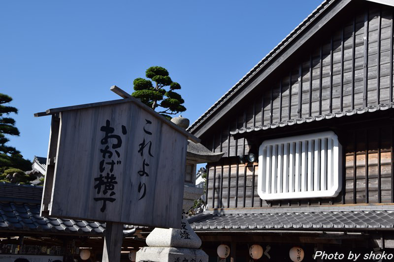 s-DSC_1240.jpg
