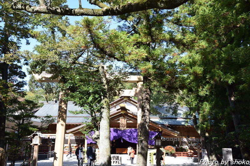 s-DSC_1245.jpg