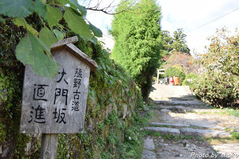 s-DSC_1261.jpg