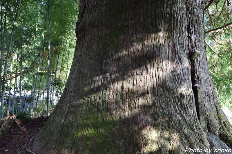 s-DSC_1269.jpg