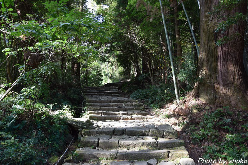 s-DSC_1270.jpg