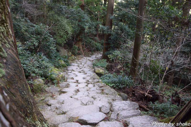 s-DSC_1334.jpg