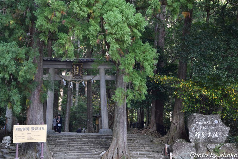 s-DSC_1338.jpg