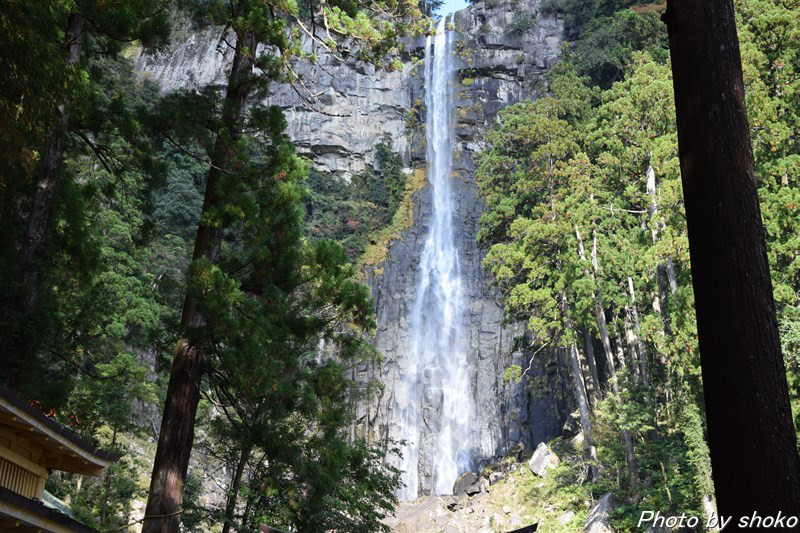 s-DSC_1341.jpg