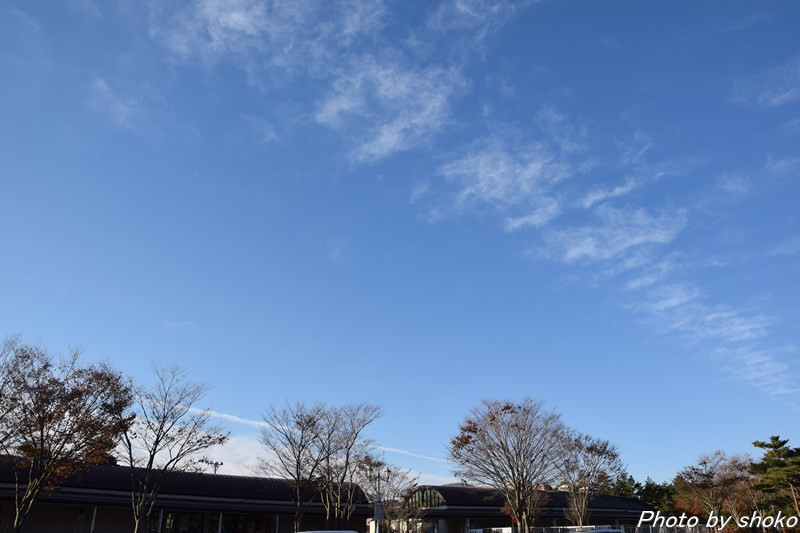 s-DSC_1570.jpg