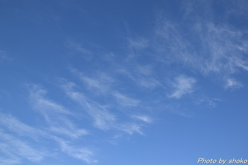 s-DSC_1566.jpg