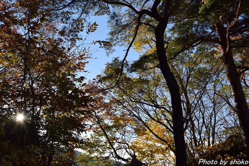 s-DSC_1575.jpg