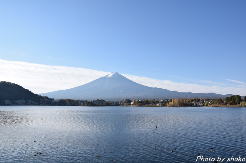 s-DSC_1589.jpg