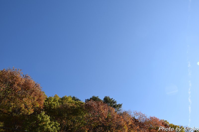 s-DSC_1618.jpg