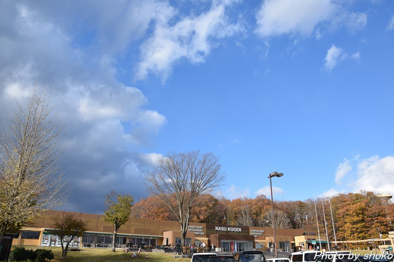 s-DSC_1654.jpg