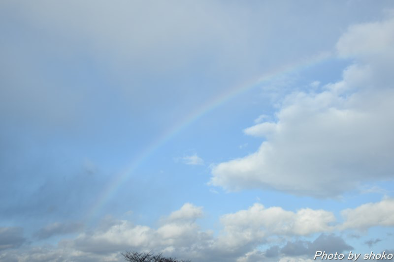 s-DSC_1666.jpg