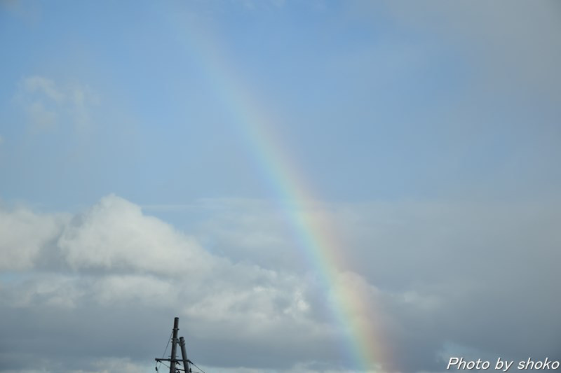 s-DSC_1670.jpg