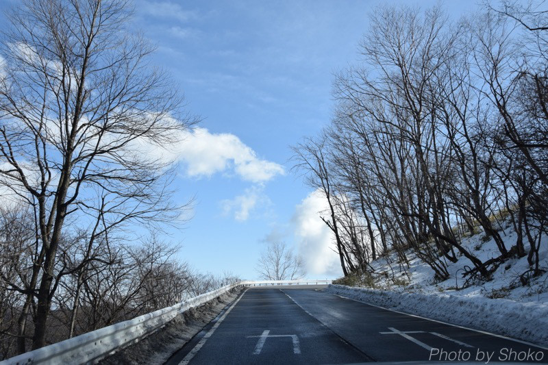 th_DSC_2679.jpg