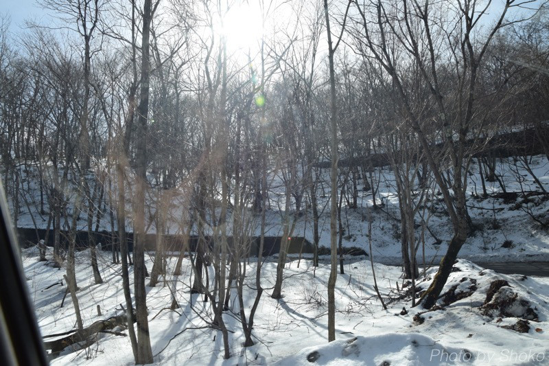 th_DSC_2674.jpg