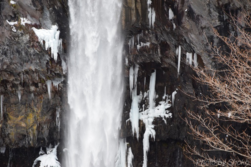 th_DSC_2690.jpg