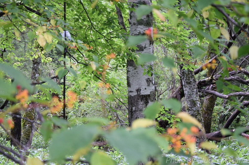 th_DSC_3334.jpg