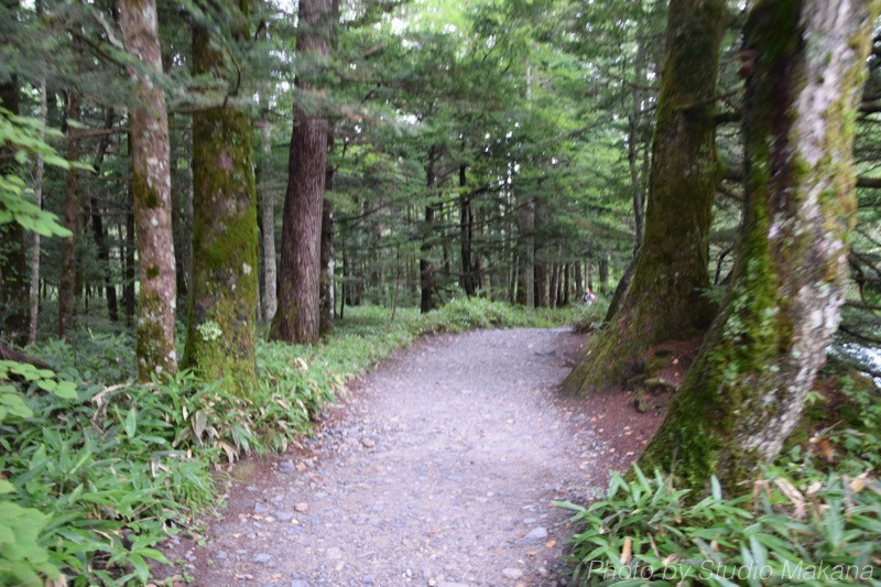 th_DSC_3353.jpg