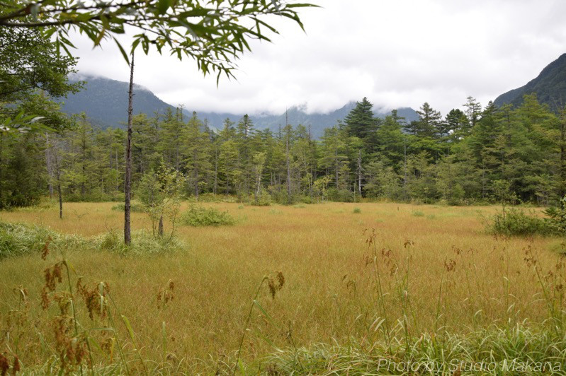 th_DSC_3373.jpg