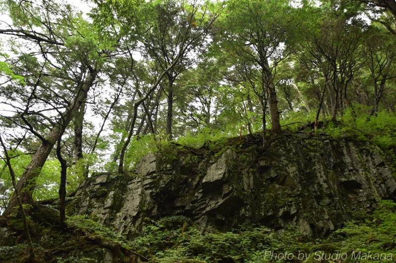 th_DSC_3434.jpg
