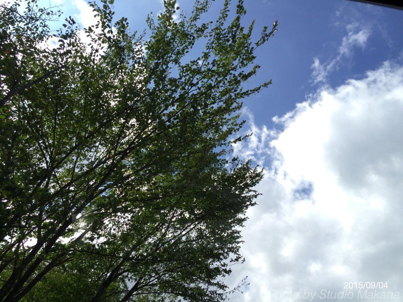 th_IMG_0202.jpg