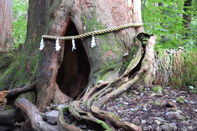 th_DSC_3538.jpg